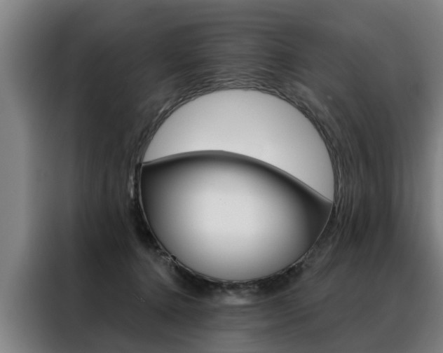 X0000088470368200705220945