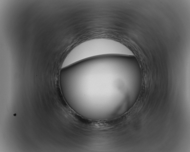 X0000088470372200705220945