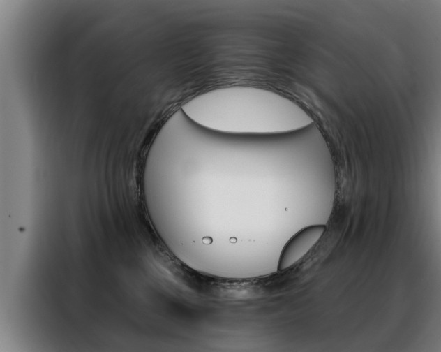 X0000088470377200705220945