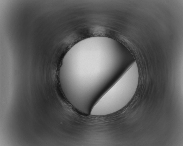 X0000088470379200705220945