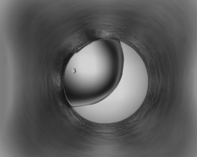 X0000088470380200705220945