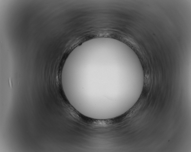 X0000088470381200705220945