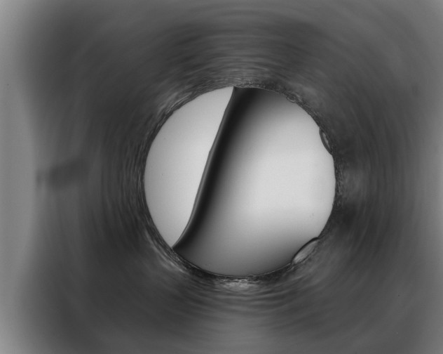 X0000088470383200705220945
