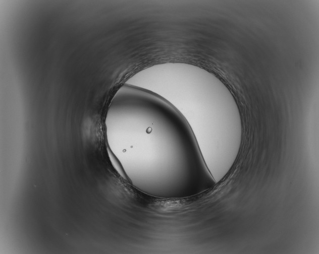 X0000088470384200705220945