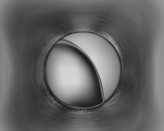 X0000088470385200705220945