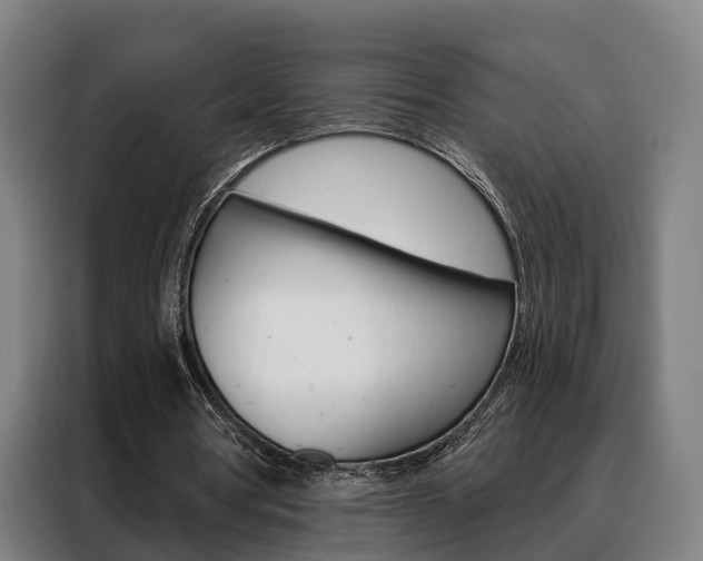 X0000088470386200705220945