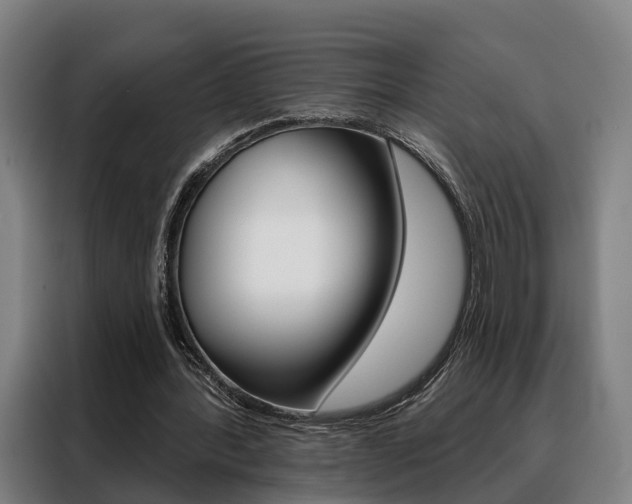 X0000088470388200705220945