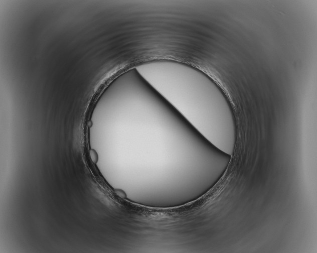 X0000088470390200705220945