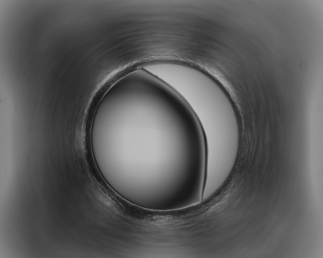 X0000088470391200705220945