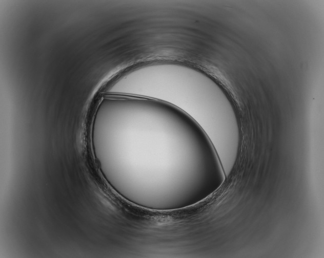 X0000088470392200705220945