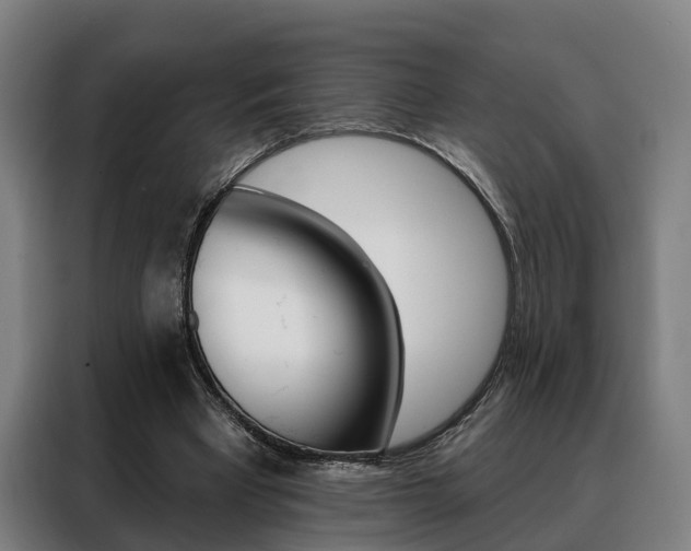 X0000088470393200705220945