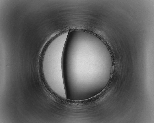 X0000088470395200705220945