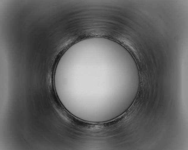 X0000088470398200705220945