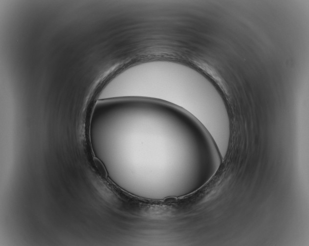X0000088470399200705220945