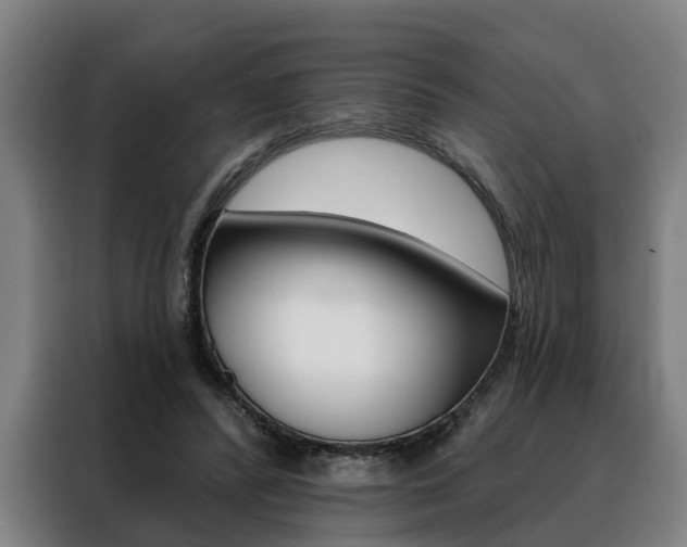 X0000088470400200705220945