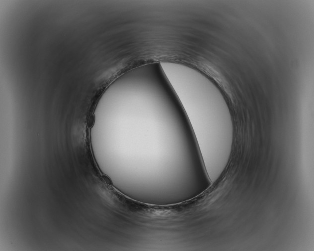X0000088470401200705220945