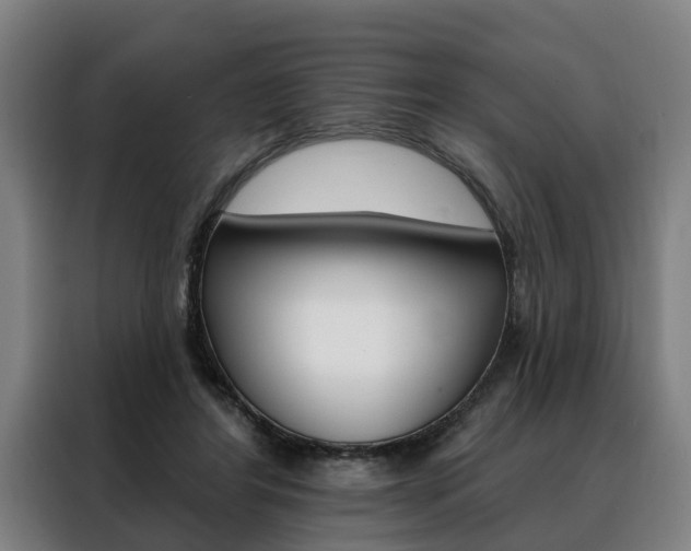 X0000088470404200705220945
