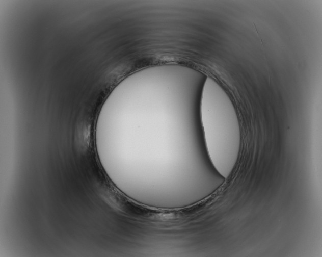 X0000088470406200705220945