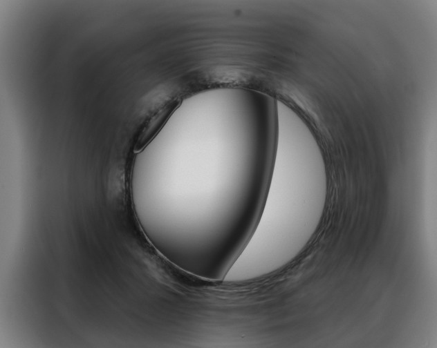 X0000088470407200705220944