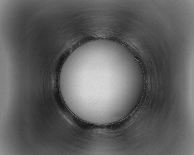 X0000088470408200705220944