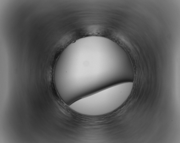 X0000088470413200705220944