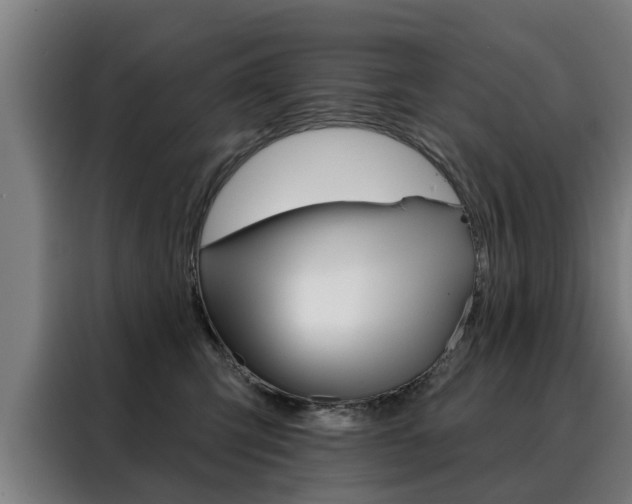 X0000088470423200705220944