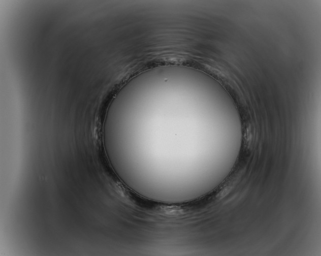 X0000088470424200705220944