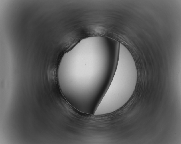 X0000088470425200705220944