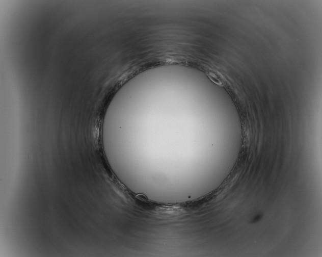 X0000088470427200705220944