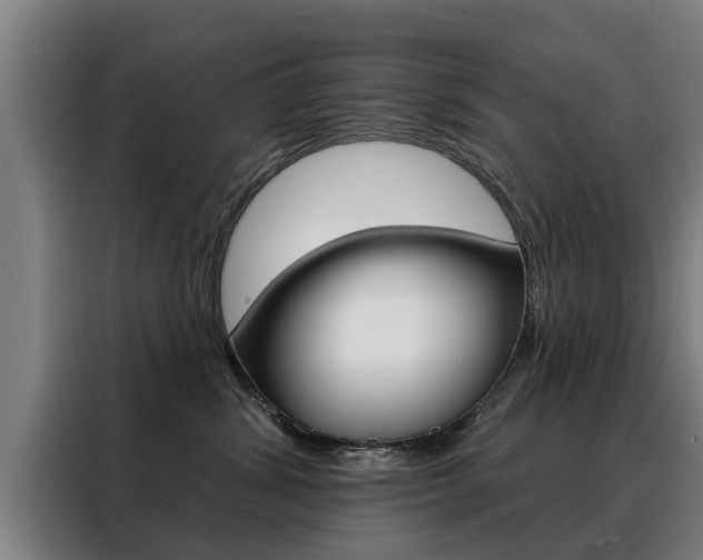 X0000088470428200705220944