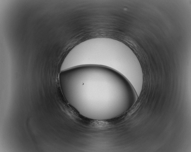 X0000088470429200705220944