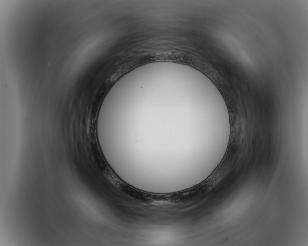 X0000088470430200705220944