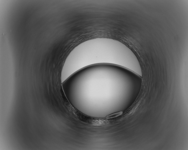 X0000088470432200705220944