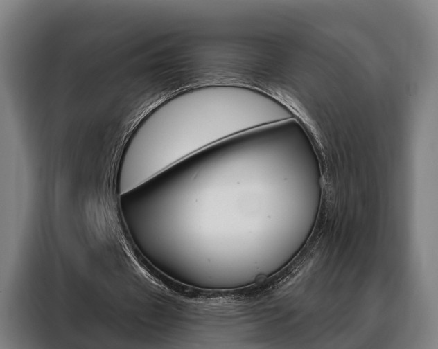 X0000088470433200705220944