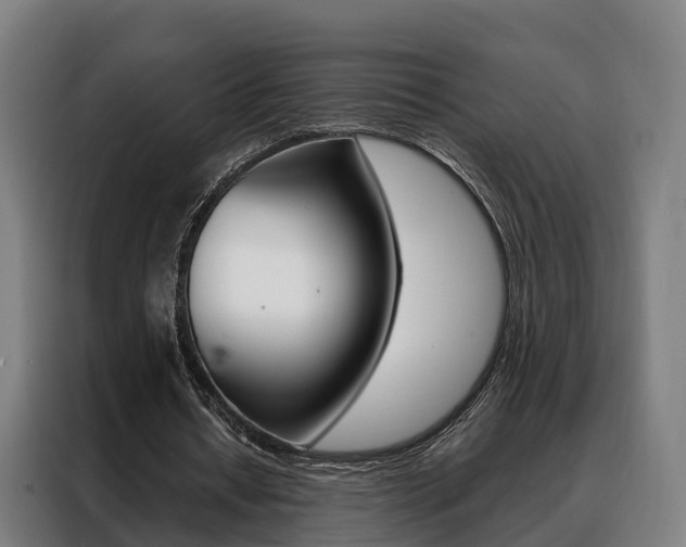 X0000088470434200705220944