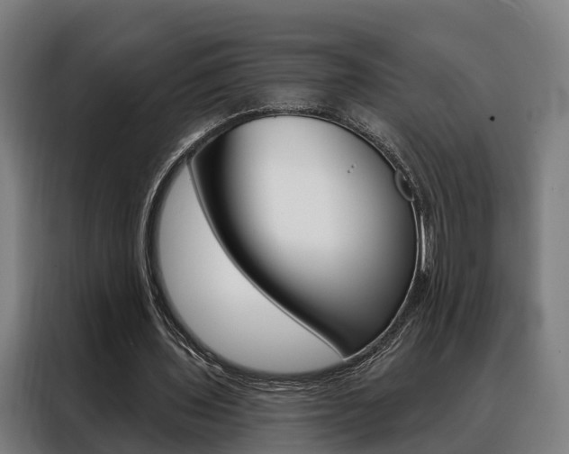X0000088470435200705220944
