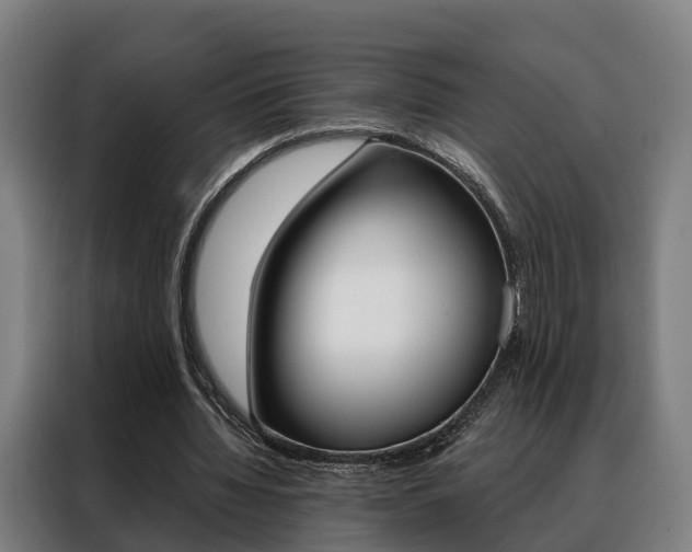 X0000088470436200705220944