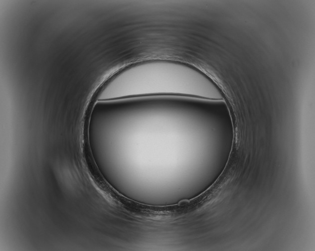 X0000088470438200705220944