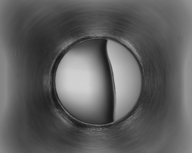 X0000088470439200705220944