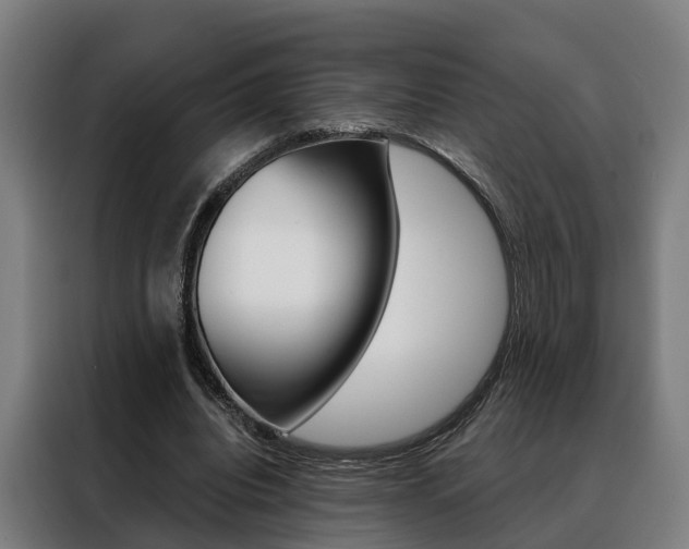 X0000088470440200705220944