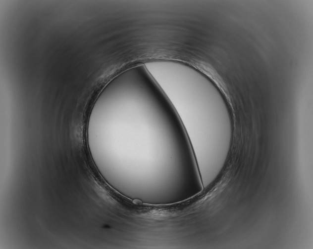 X0000088470441200705220944