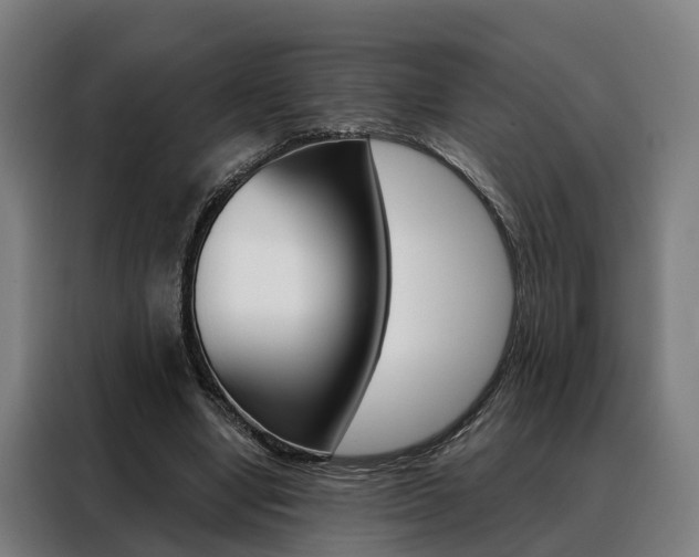 X0000088470442200705220944