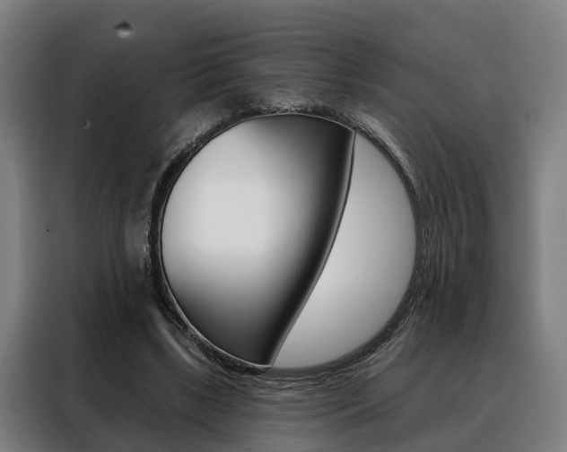 X0000088470443200705220944