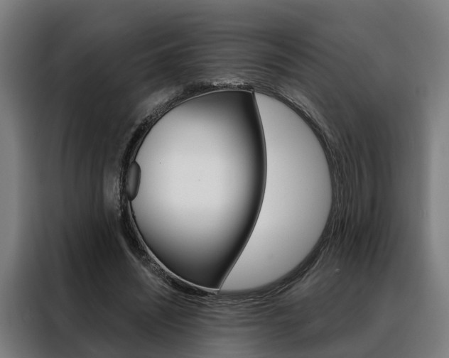 X0000088470444200705220944