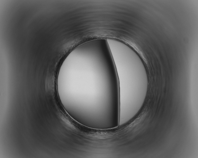 X0000088470445200705220944