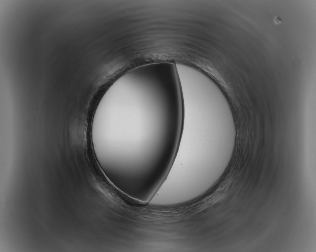 X0000088470446200705220944