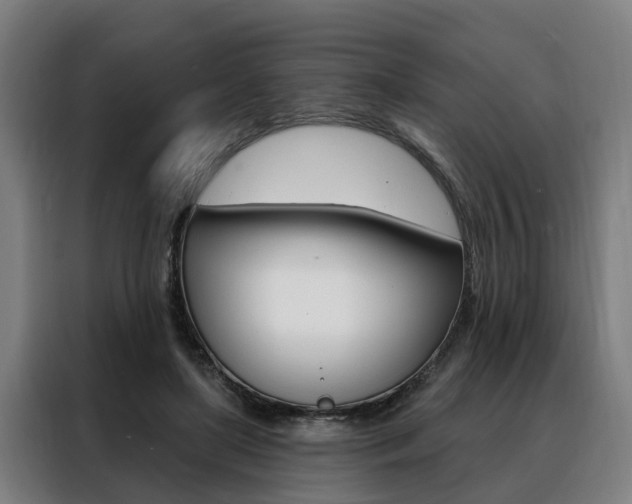 X0000088470451200705220944