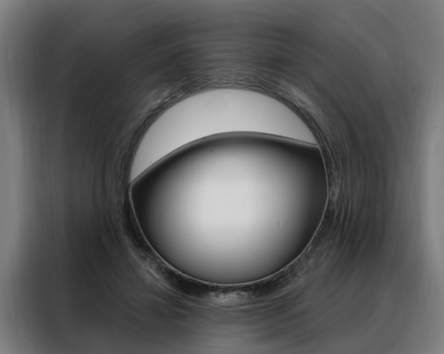 X0000088470452200705220944