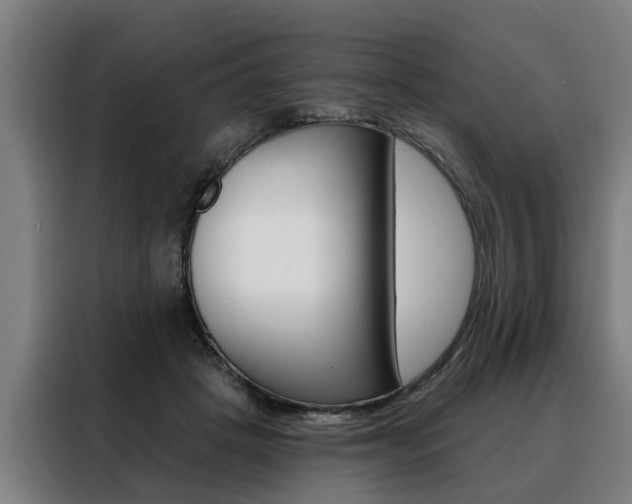 X0000088470457200705220944