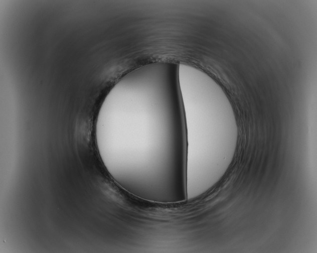 X0000088470458200705220944